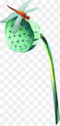 ������Ӱ�ڳ�����ͣ��������-������