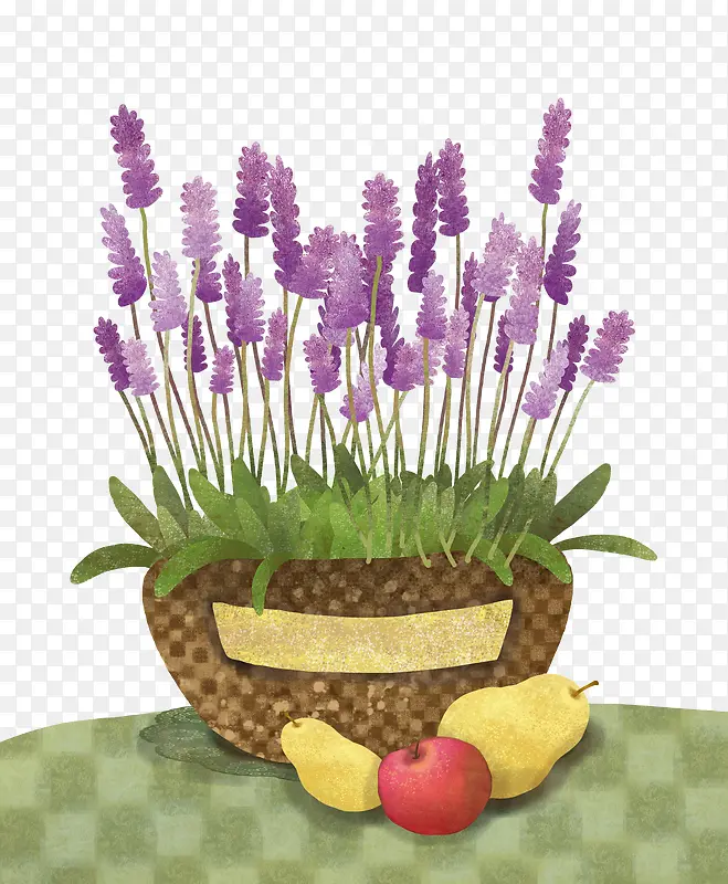 ƿ��޹�²��ֻ�廭-������