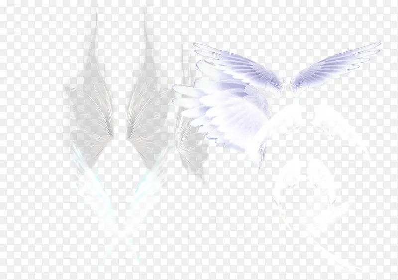 ��ɫ��ë-������