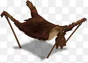 ����Ƥë-������