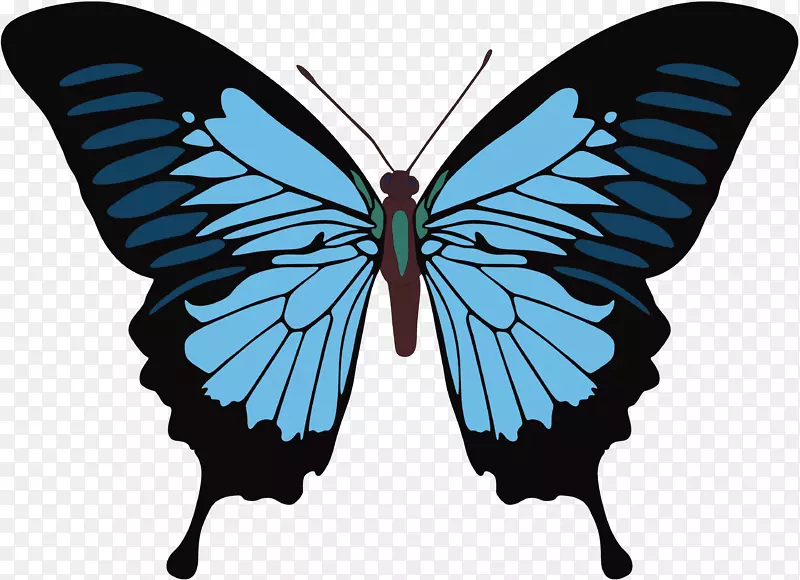 �������������¡�������˹-������-������