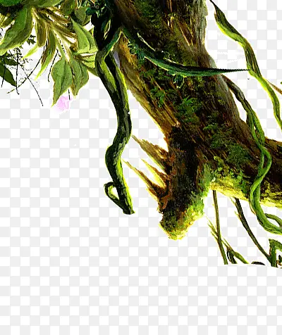 ���ҵ�����-������