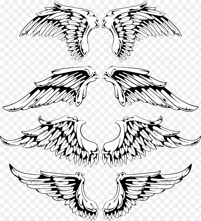 ����Ӱ-������