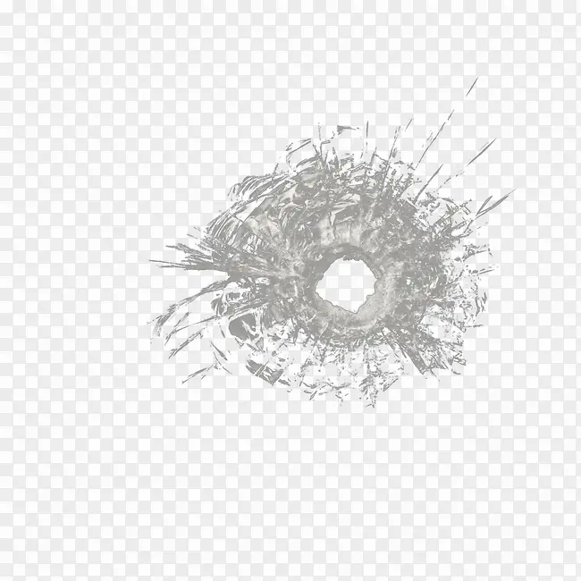 �鲣��-������