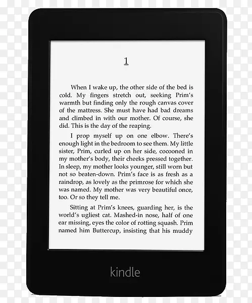 �����Ķ���-������