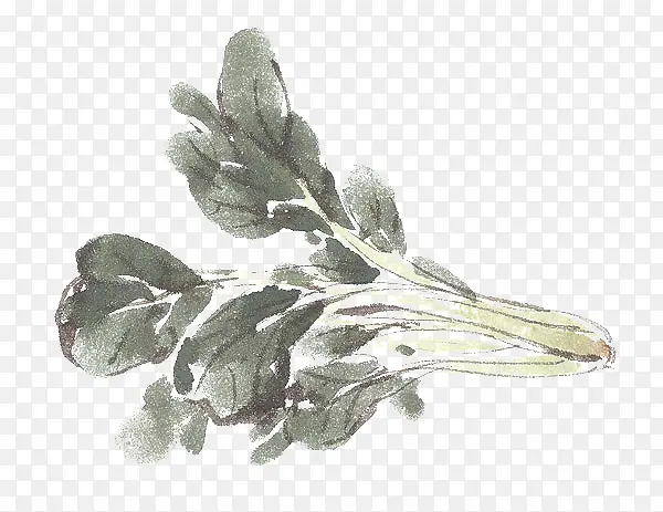 �ֻ沤��-������