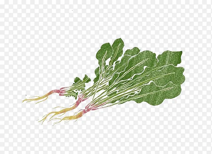 �ֻ�ˮ�ʲ���ͼƬ-������