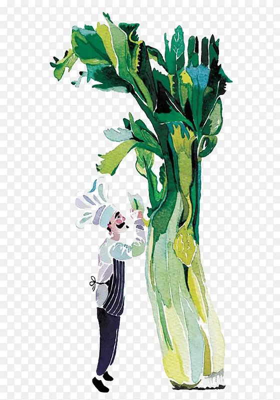 �����߲�-������