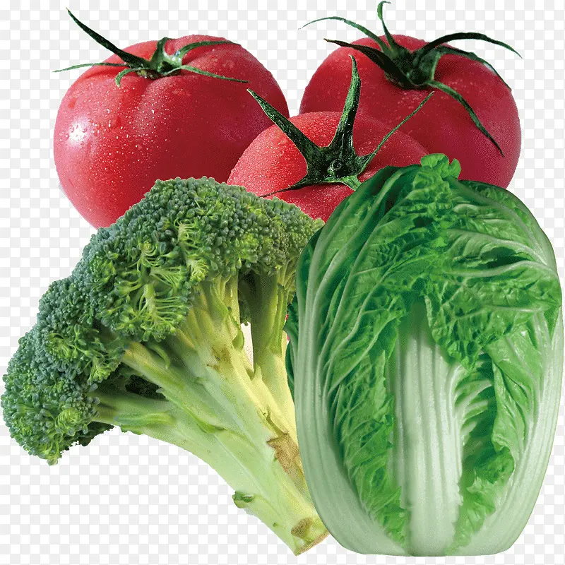 �ײ��������˻�PNGʸ���ز�-������