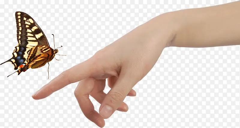 ��ָ�ϵĺ���-������