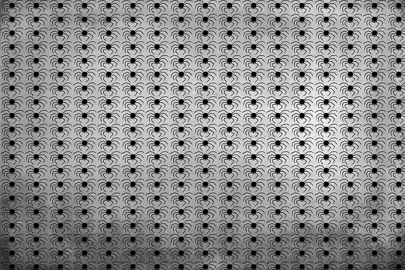 ֩�뱳������-������