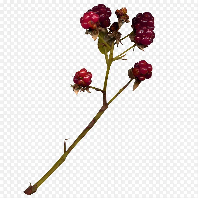 ��ʵ-������