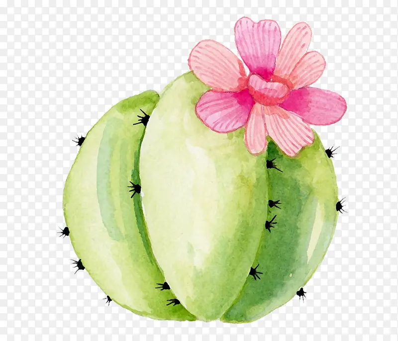 �ֻ�ˮ�ʹ�ʵ-������