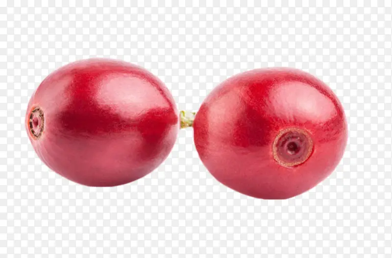 ���ų��췴��Ŀ��ȹ�ʵ��-������