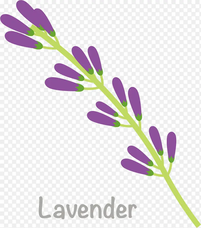 ��ɫ��ƽ���޹�²�-������