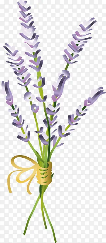 ��ɫ�ֻ���ͨ޹�²�-������