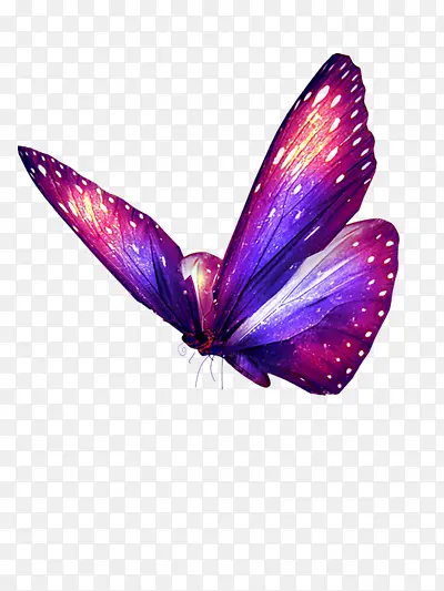 �Ųʺ����廭-������