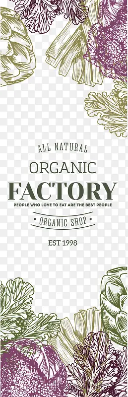 �ֻ�Ψ���߲˱�ǩ-������