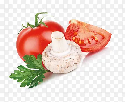 Ψ�������߲�������˫�߹���Ҷ-������