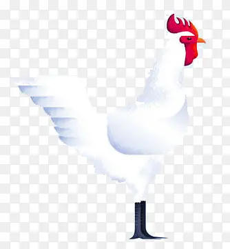 ��ɫ����-������