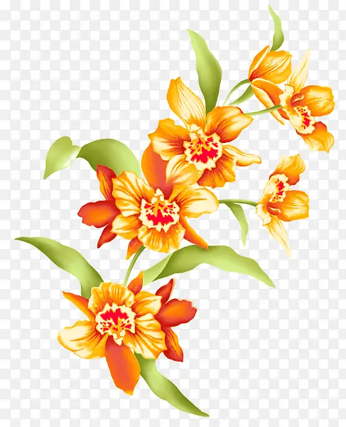 ��ɫ��-������