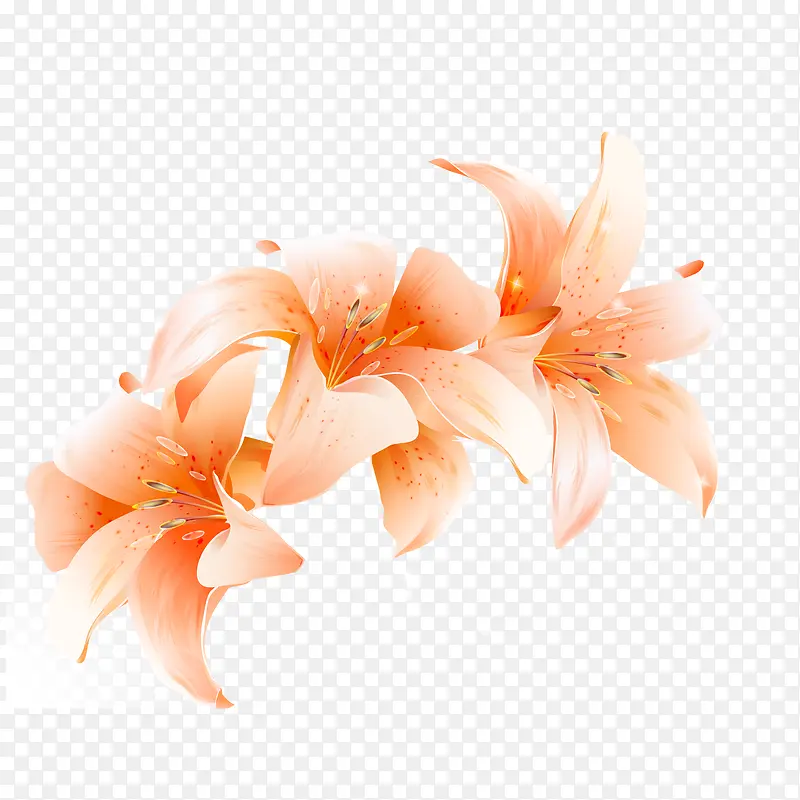 �ֻ��ɫ�ٺϻ�ʸ��ͼ-������