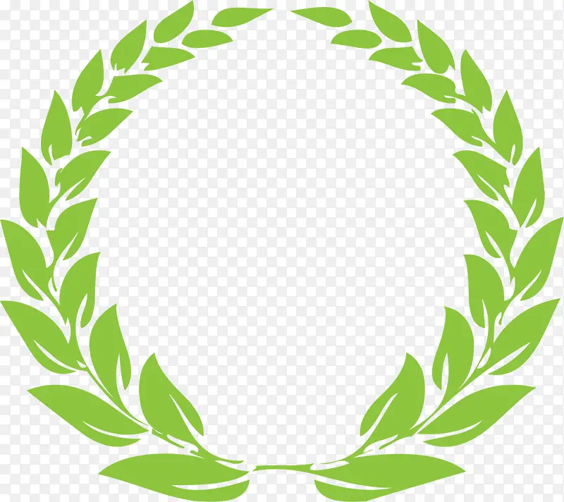 ��ɫ���������ݻ�-������