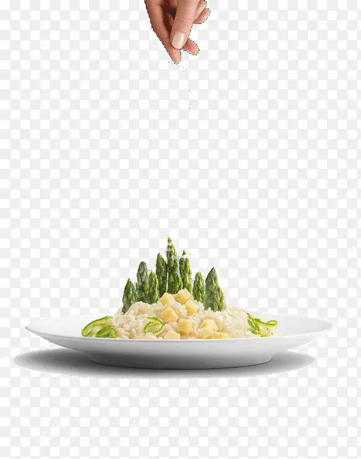 ������ʳ-������