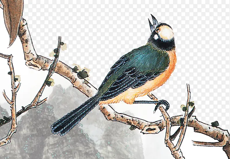 �ֻ����-������