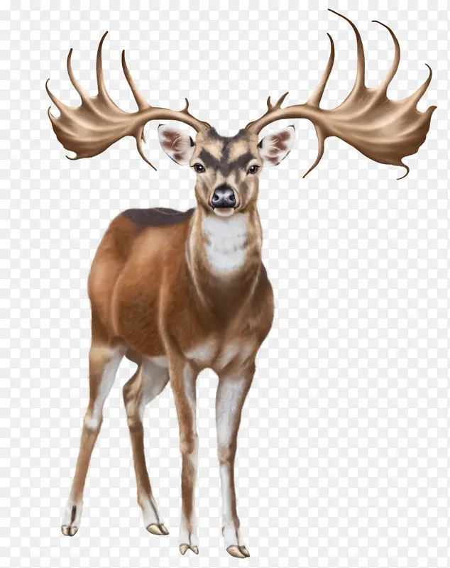 ʥ����¹��Ӱ����3-������