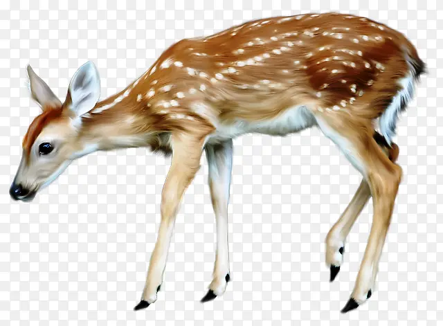 ʥ����¹��Ӱ����5-������