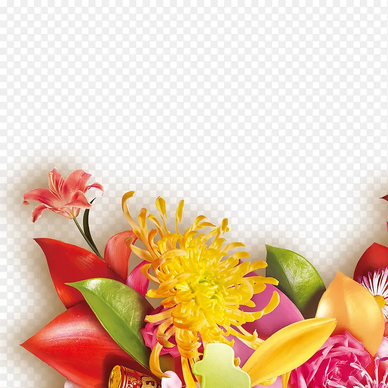 �ջ��ز�ͼƬ-������