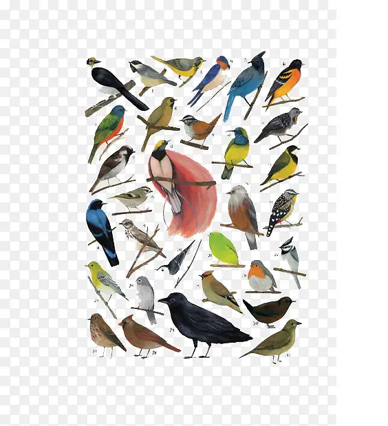 ��ͨ�����ȫ-������