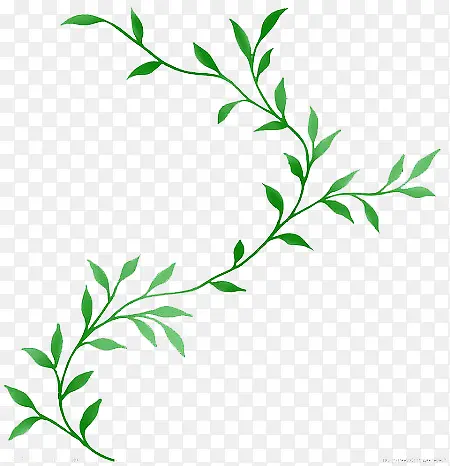 ��ɫ��С��֦-������