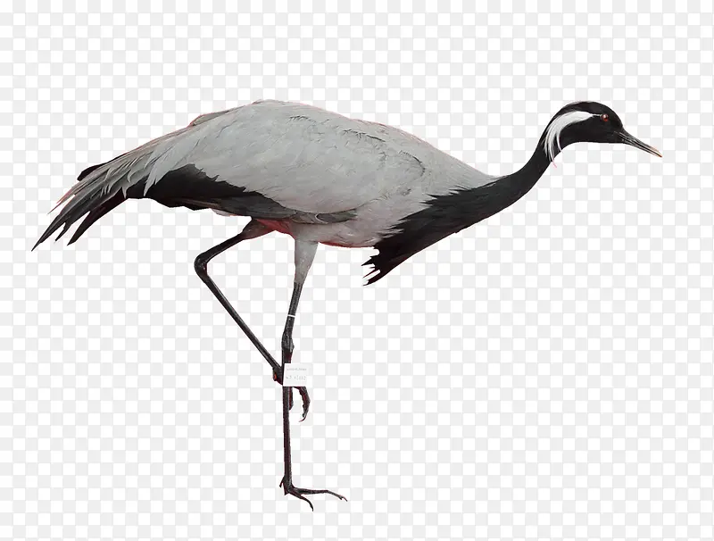 ����װ��-������