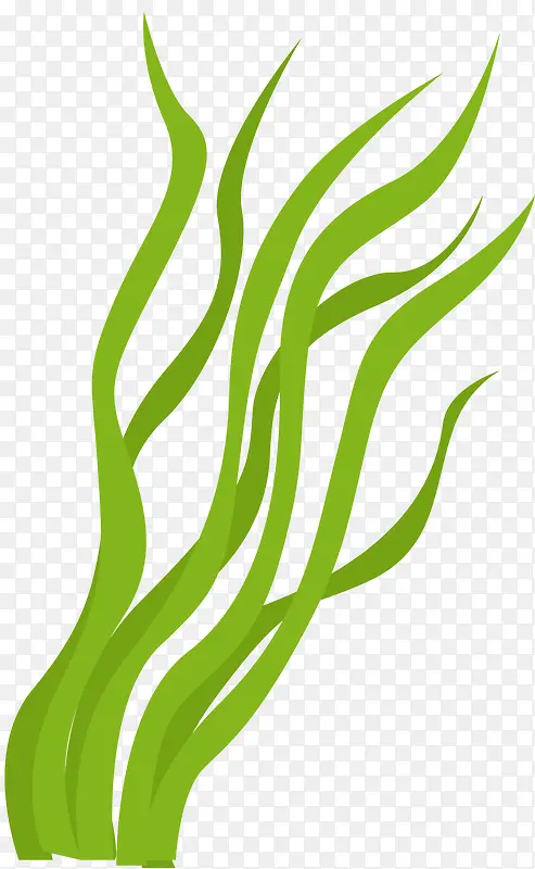 ӫ����ɫʸ����ͨ����-������