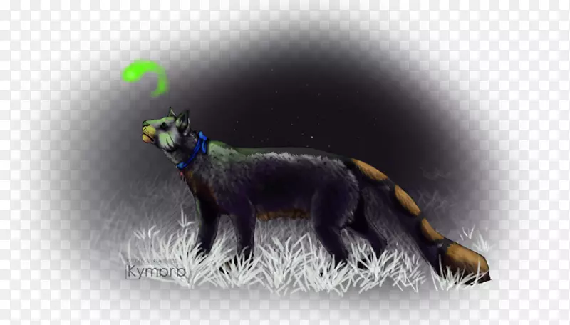 �ܶ���ȺҰ������ʳ��ө���-������