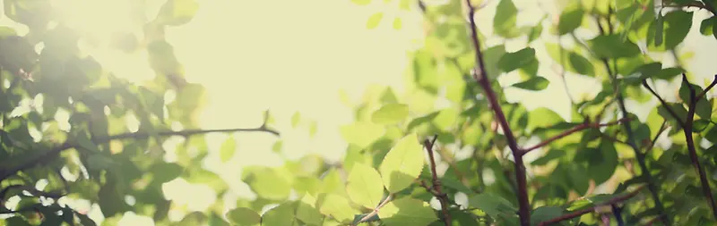 ������ɫΨ������-������