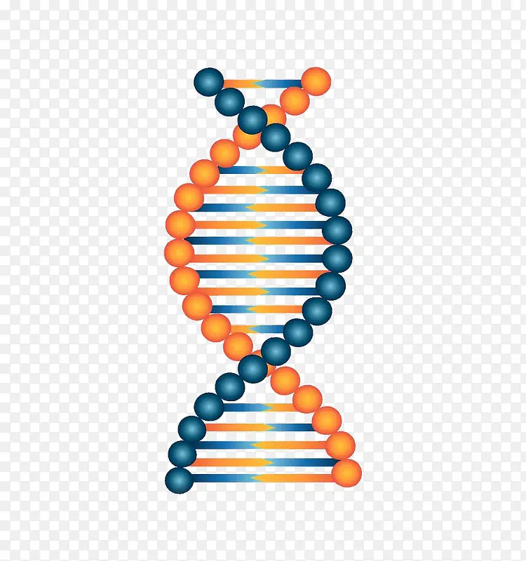 ����ѧ���Ӷ�ʲ廭-������