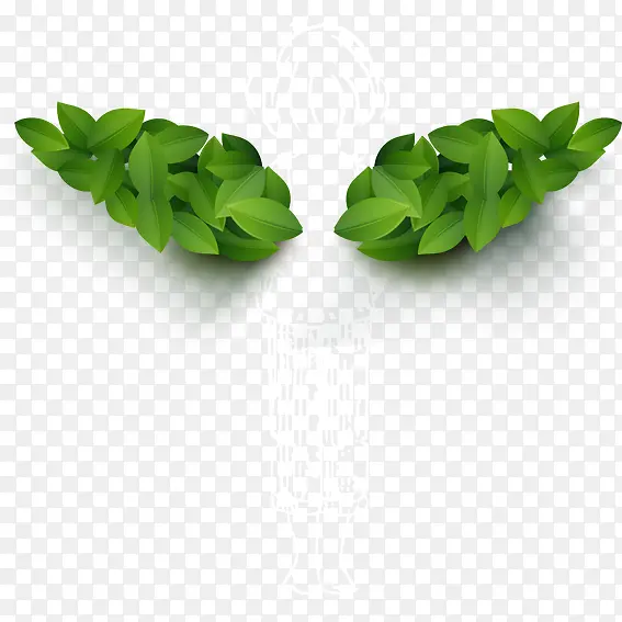 Ҷ�ӳ��-������