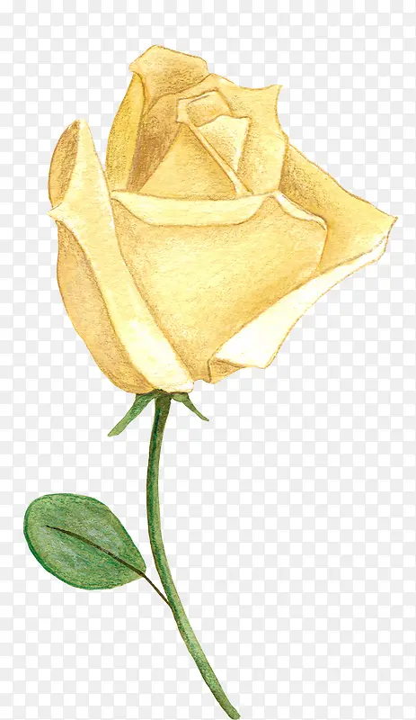 �ֻ��ɫõ��-������