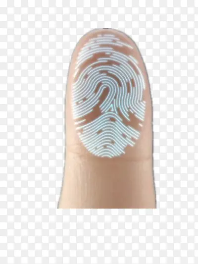 ָ��-������