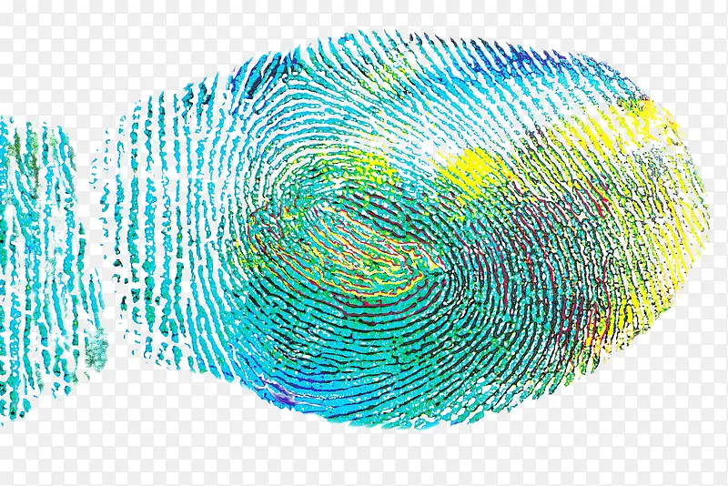 ��ָӡ-������