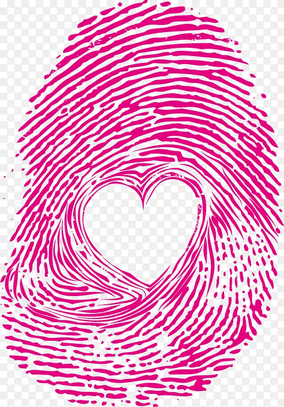 ָ��-������