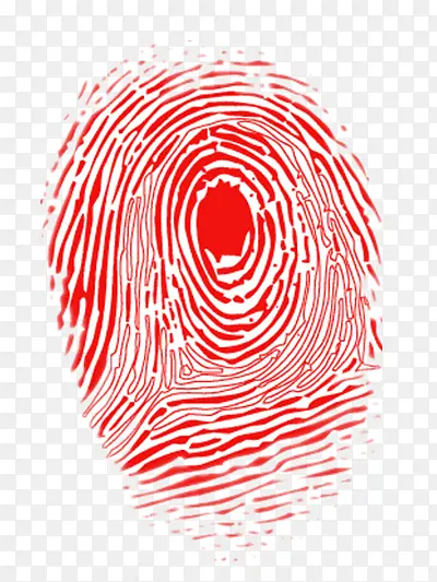 ָ��-������