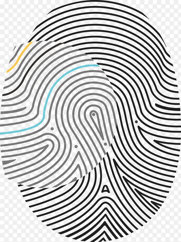 ָ��-������