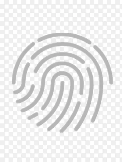 ָ��-������