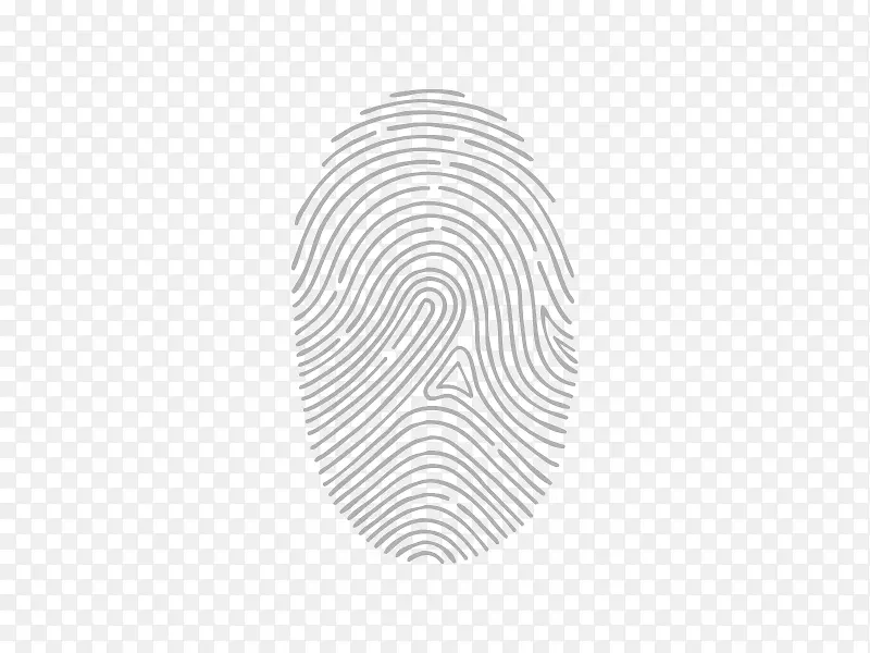 ָ��-������