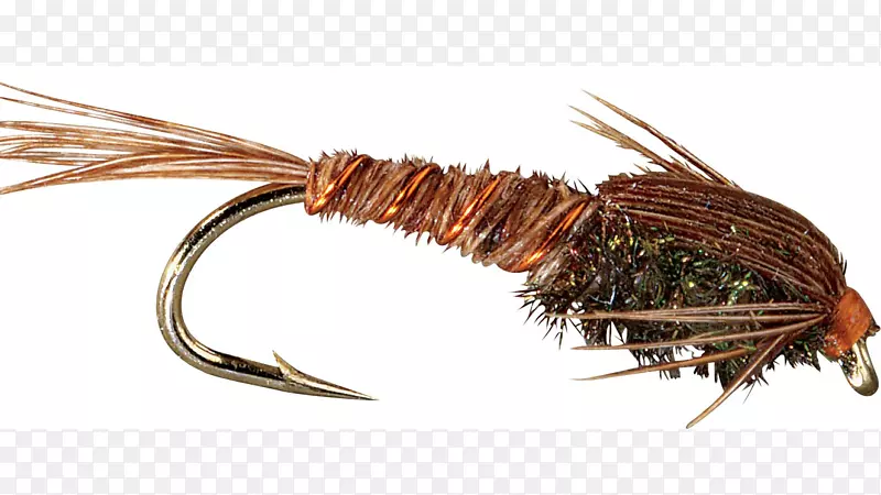 �����޼�׵�����β���棬���棬��Ӭ-������