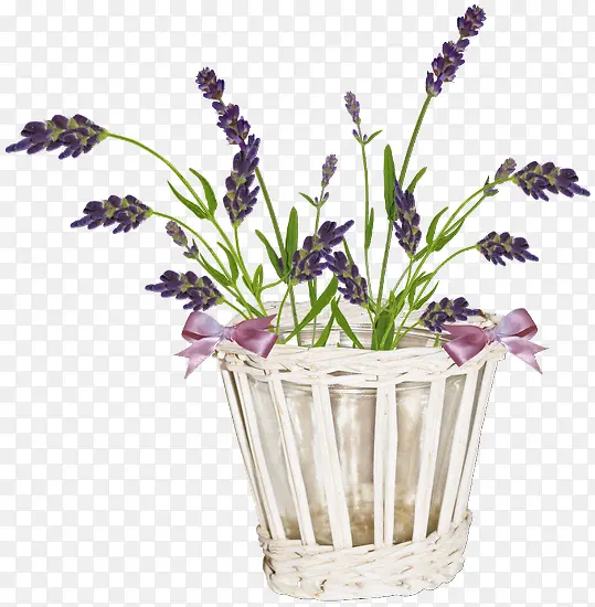 ����޹�²�-������